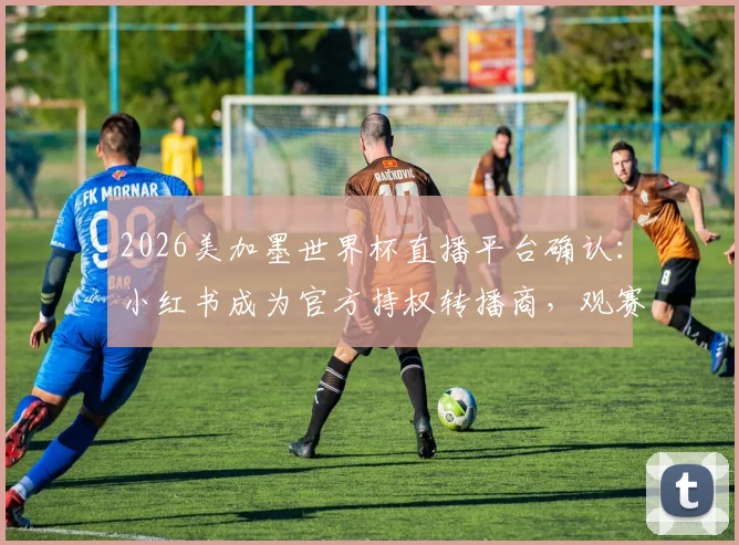 2026美加墨世界杯直播平台确认：小红书成为官方持权转播商，观赛指南来袭